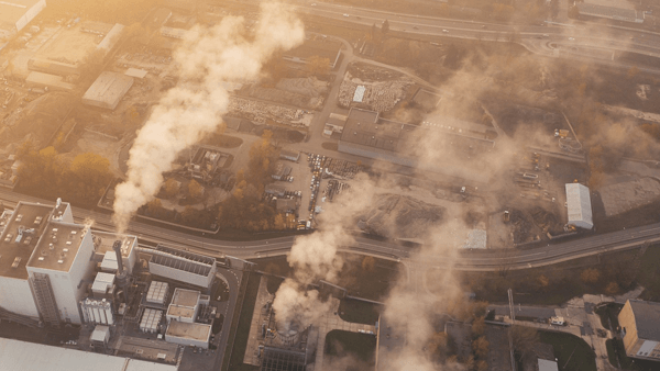 Nihon Kohden UK Ltd – Carbon Reduction Plan